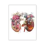 Illustration artistique de deux reins humains ornés de fleurs colorées et de motifs floraux, symbolisant la santé et la vitalité.