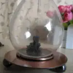 Vase en verre transparent contenant une petite plante artificielle noire, posé sur une base en bois avec des pieds noirs, décoratif et scientifique.
