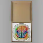 Cerveau artistique peint à l'aquarelle avec des couleurs vives dans une boîte cadeau en carton. Idéal pour décoration ou collection scientifique.