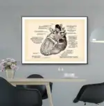 Illustration scientifique détaillée du cœur humain avec annotations, montrant les différentes parties et leur fonction, idéale pour la décoration éducative ou scientifique.