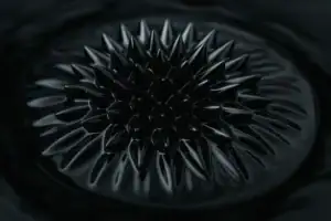 Image d'une pomme de pin en métal noir brillant, utilisée comme décoration scientifique ou objet de collection, avec un design moderne et élégant.