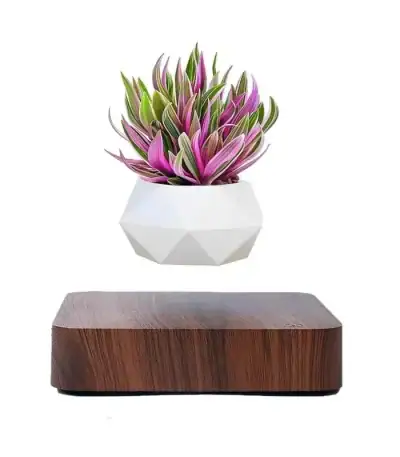 Pot de fleur flottant par lévitation magnétique avec plante décorative.