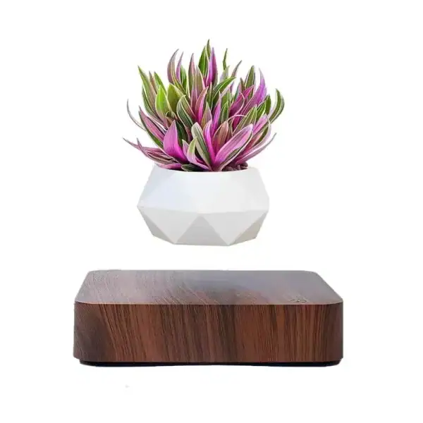 Pot de fleur flottant par lévitation magnétique avec plante décorative.