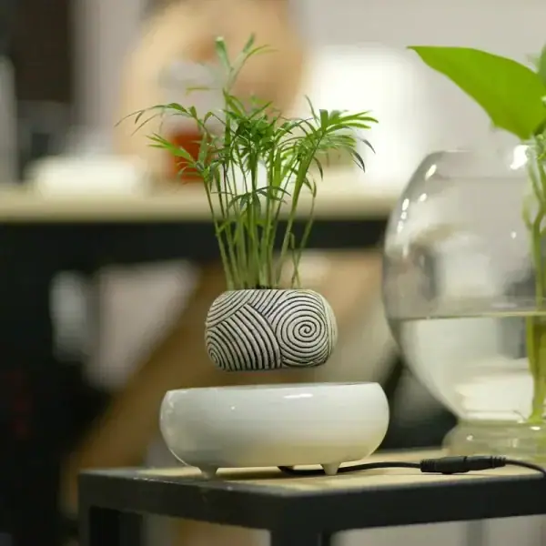 Petite plante verte dans un vase en forme de spirale avec motif géométrique, idéale pour la décoration scientifique ou moderne.