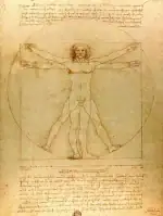 Dessin de l'Homme de Vitruve de Léonard de Vinci illustrant les proportions idéales du corps humain dans un carré et un cercle.