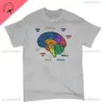 Illustration d'un cerveau humain avec différentes zones colorées représentant diverses fonctions cognitives et sensorielles.