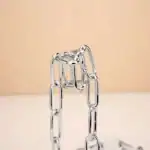 Une chaîne en acier inoxydable avec un pendentif en forme de chaîne, illustrant un objet scientifique ou décoratif moderne.