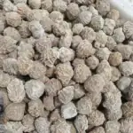 Boules de pin blanc naturelles, parfaites pour la décoration intérieure ou extérieure, apportant une touche naturelle et élégante à votre espace.