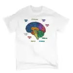 T-shirt blanc avec illustration colorée du cerveau humain montrant ses différentes régions et fonctions, idéal pour les amateurs de sciences et de décoration scientifique.