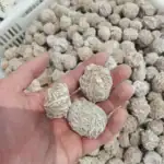 Fruits de la passion séchés dans la main, avec un fond de fruits similaires. Parfait pour la décoration ou la cuisine.