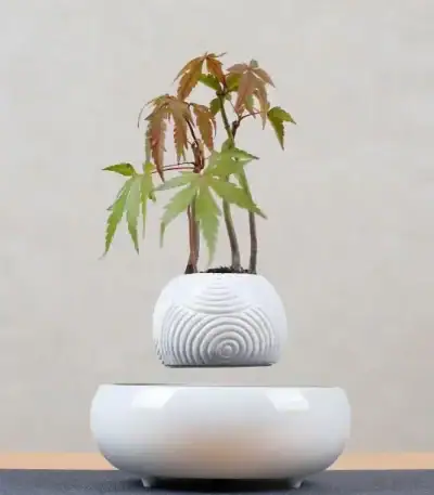 Vase blanc contenant un petit arbre d'érable avec des feuilles vertes et rouges, décoratif et inspiré de la nature.