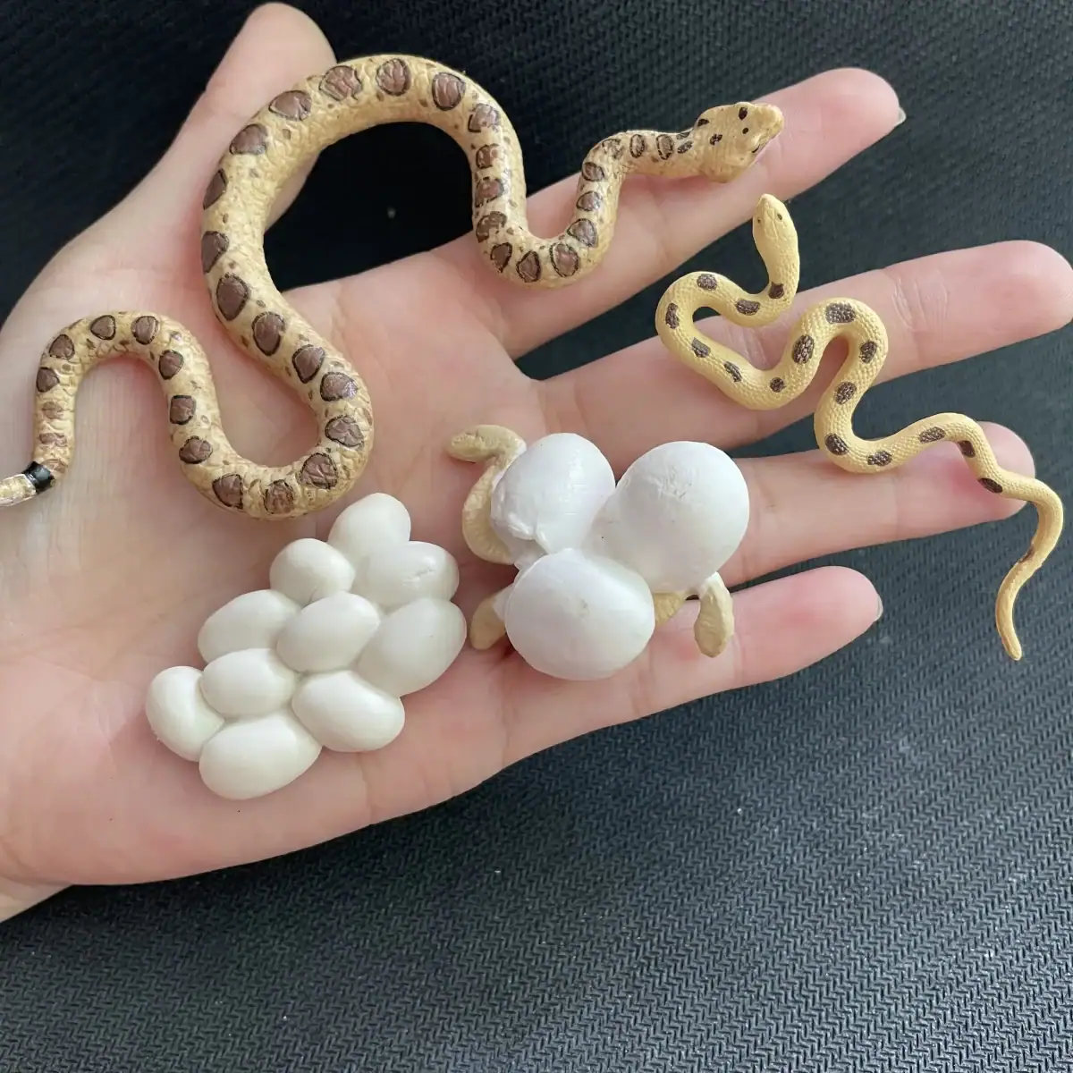 Serpent en plastique avec œufs blancs, décoration éducative et ludique pour les amateurs de sciences naturelles. Parfait pour une collection ou un projet pédagogique.