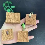 Modèle scientifique de plantes et graines en plastique, illustrant la croissance et le développement des plantes dans un environnement éducatif.