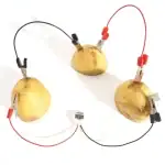Pomme de terre connectée à des câbles électriques avec pinces, illustrant une expérience scientifique ou une décoration originale inspirée de la science.