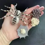 Accessoire de décoration scientifique avec araignée, toile et éléments de laboratoire.
