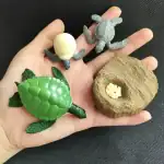 Figurines de tortue et d'autres animaux marins en plastique pour l'apprentissage et la décoration scientifique.