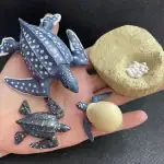 Figurines miniatures d'animaux marins et fossiles pour décoration scientifique.