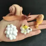Collection de figurines d'escargots en plastique et caoutchouc, représentant différentes espèces avec détails réalistes et couleurs variées, parfaites pour la décoration scientifique ou éducat.