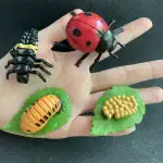 Accessoires décoratifs en forme d'insectes et feuilles pour décoration intérieure.