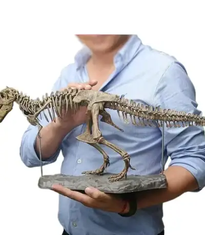 Modèle de squelette de Tyrannosaure rex pour décoration scientifique ou éducative, présenté par un collectionneur ou un musée.