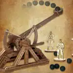 Panneau de jeu de physique avec un mécanisme en bois et des billes noires, illustrant un principe de mouvement et de gravité.
