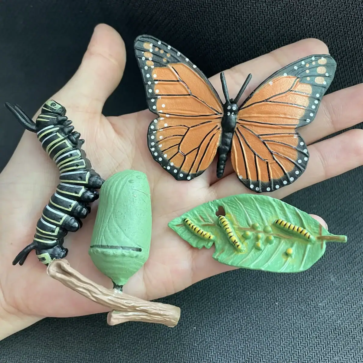 Accessoires décoratifs d'insectes pour collection ou décoration.