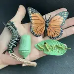 Accessoires décoratifs d'insectes pour collection ou décoration.