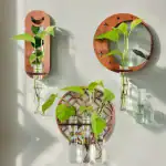 Décoration murale avec plantes suspendues dans des bouteilles en verre fixées sur des supports en bois, apportant une touche naturelle et moderne à la décoration intérieure.