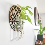 Plante verte suspendue dans des tubes en verre fixés à un support en bois, décoration moderne et naturelle pour intérieur.