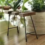 Balconnière suspendue avec plantes vertes dans un vase en verre, support en bois et métal, décoration intérieure naturelle et moderne.