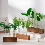 Glas-Propagationsvase im Labor-Stil