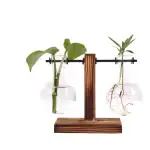 Support de plantes suspendues avec deux bocaux en verre contenant des plantes vertes.