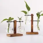 Balconnières de plantes dans des flacons en verre avec support en bois.