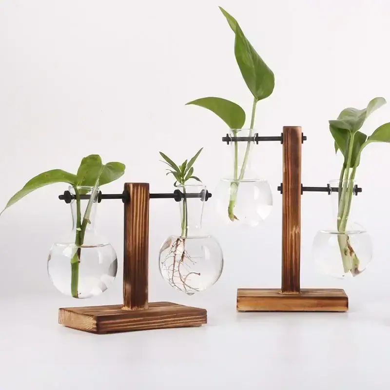 Balconnières de plantes dans des flacons en verre avec support en bois.