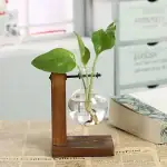 Vase en verre avec plante verte flottante, soutenu par une structure en bois, placé sur une table avec journaux et livre dans un environnement intérieur lumineux.