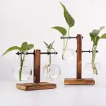 Vases suspendus en verre avec support en bois pour plantes d'intérieur, décoration botanique moderne et élégante, idéale pour embellir votre espace de vie ou de travail.