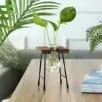 Support de décoration végétale moderne avec vase en verre.