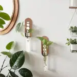 Vases décoratifs inspirés de la science avec plantes vertes, parfaits pour une décoration intérieure moderne et naturelle.