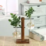 Deux plantes vertes dans des flacons en verre suspendus sur un support en bois, décoration moderne et naturelle pour intérieur.