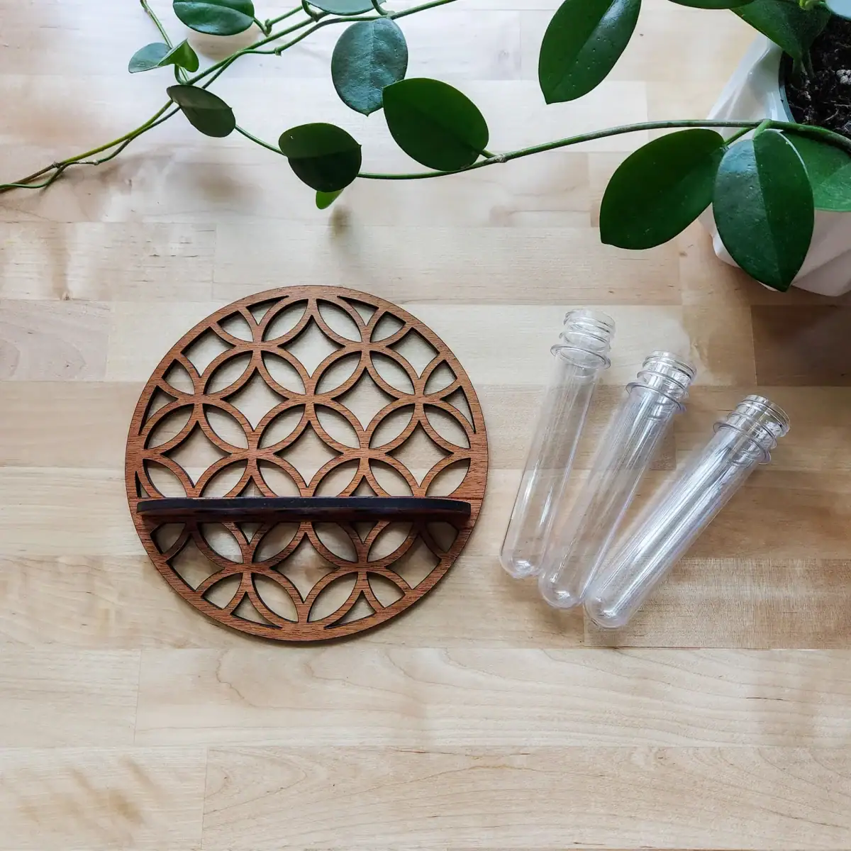 Porte-épices en bois avec compartiments en verre pour rangement d'épices ou autres petits objets, idéal pour la cuisine ou la décoration intérieure.
