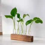 Plantes vertes dans des tubes à essai en verre fixés sur un support en bois, illustrant une décoration scientifique naturelle et moderne.
