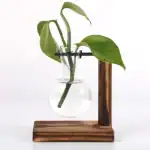 Vase en verre avec plante verte dans un support en bois et métal.