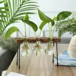 Plantes vertes dans des petits flacons en verre suspendus, décoration de style scientifique et moderne.