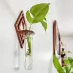 Plante verte dans un vase en verre fixé au mur avec un support en bois, décoration intérieure moderne et naturelle.
