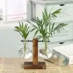 Accessoire de décoration avec plantes en suspension dans des ballons en verre.