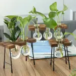 Vases en verre avec plantes vertes sur support en bois et métal, décoration de style botanique pour intérieur moderne.