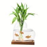 Vase en verre transparent contenant une plante verte et trois poissons rouges nageant dans l'eau, posé sur une base en bois.