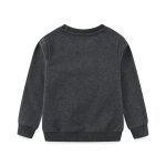 Sweat-shirt gris pour enfants en coton biologique, confortable et doux, idéal pour l'automne et l'hiver, avec finition soignée et style décontracté.