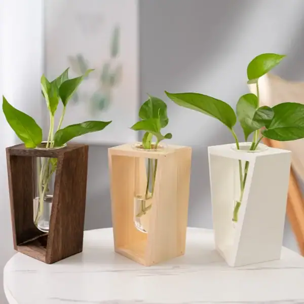 Trois plantes vertes dans des supports en bois de différentes couleurs (marron, naturel, blanc) sur une surface blanche, décoration intérieure élégante et naturelle.