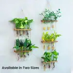Jardinières murales en bois avec plantes vertes suspendues, idéales pour décoration intérieure ou extérieure, apportant une touche naturelle et moderne à votre espace.